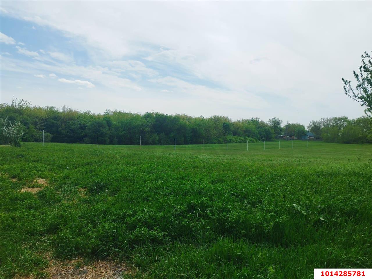 Фото №3: Дом 150 м² + 6.27 сот. - СТ Дружба, ул. Арбузная, 37