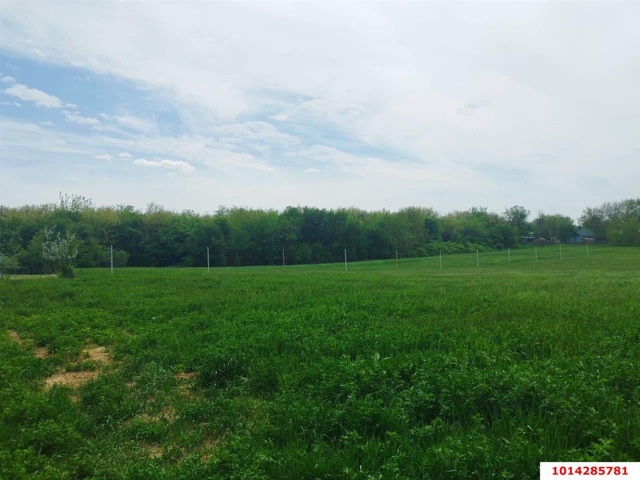 Фото №2: Дом 150 м² + 6.27 сот. - СТ Дружба, ул. Арбузная, 37