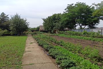 Фото №2: Дом 62 м² - Красносельское, ул. Садовая, 74