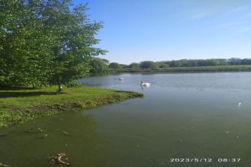 Фото №4: Дом 62 м² - Красносельское, ул. Садовая, 74