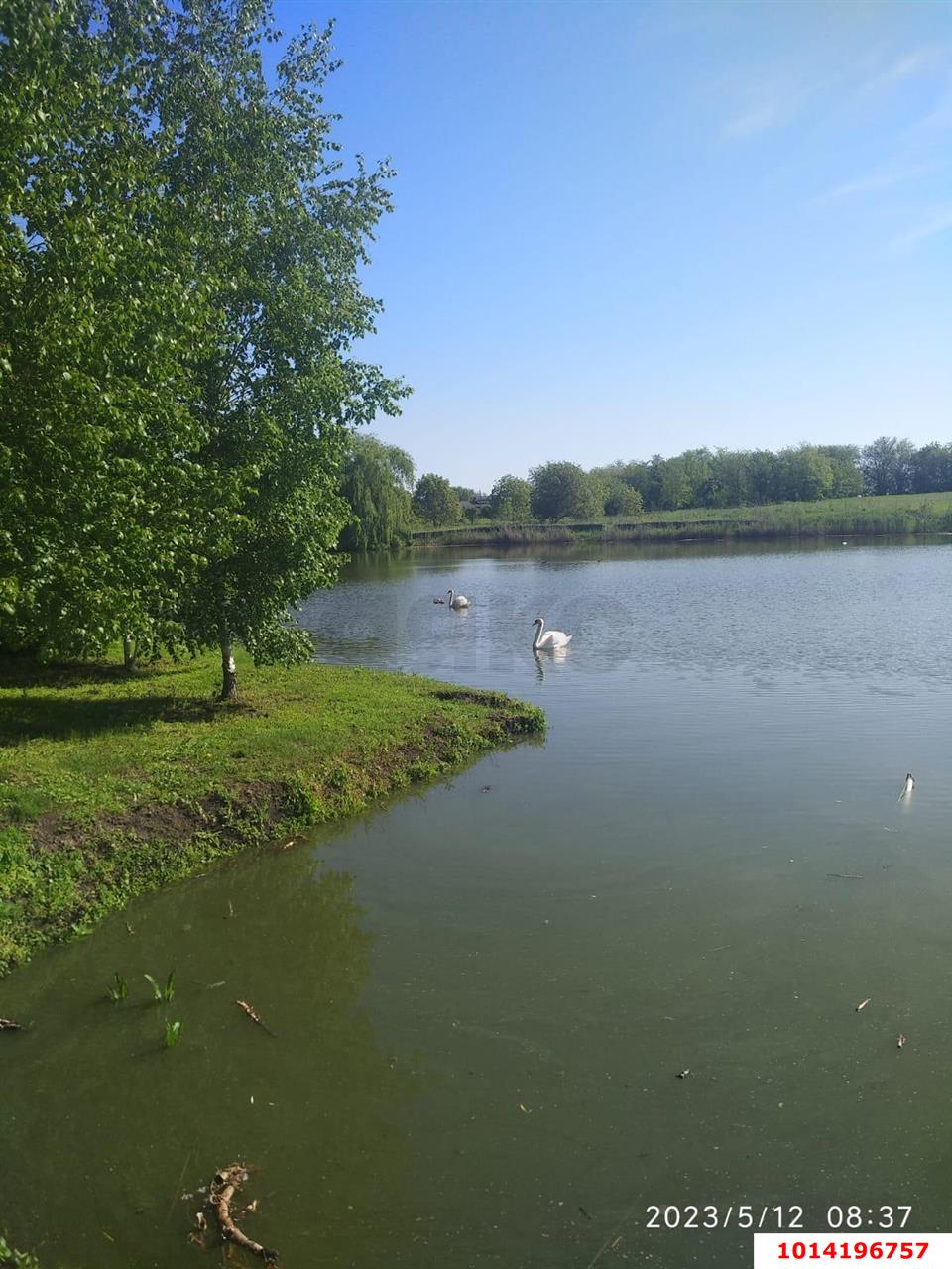 Фото №4: Дом 62 м² + 16 сот. - Красносельское, ул. Садовая, 74