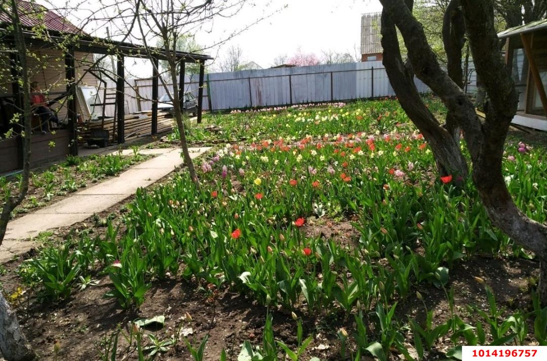 Фото №7: Дом 62 м² + 16 сот. - Красносельское, ул. Садовая, 74