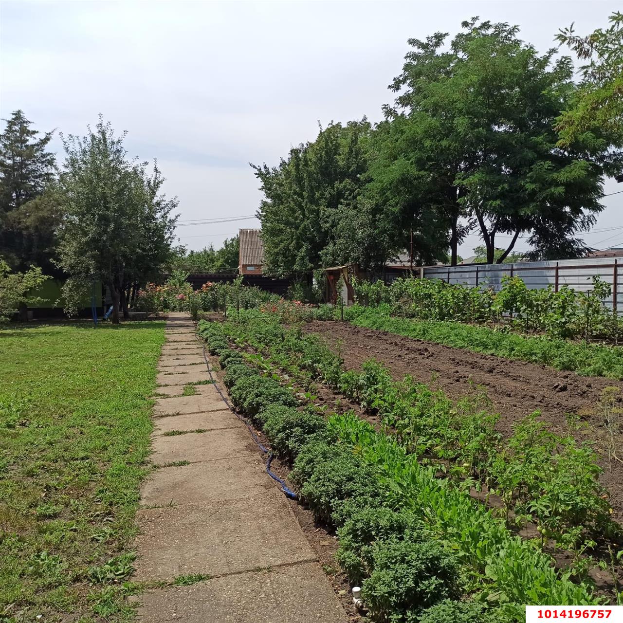 Фото №2: Дом 62 м² + 16 сот. - Красносельское, ул. Садовая, 74