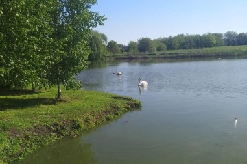 Фото №4: Дом 62 м² - Красносельское, ул. Садовая, 74