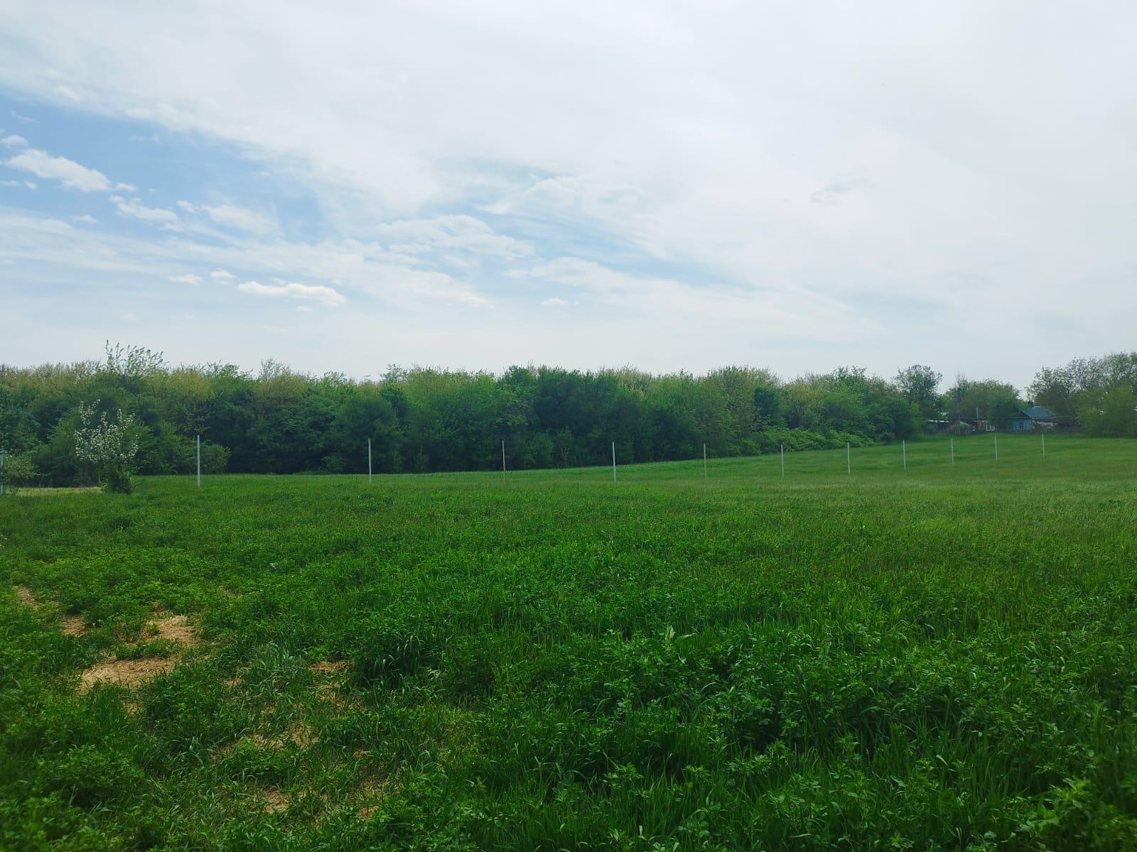 Фото №4: Земельный участок 11.12 сот. - Пригородный, Карасунский внутригородской округ, мкр. Алтайский, ул. Болгарская, 7