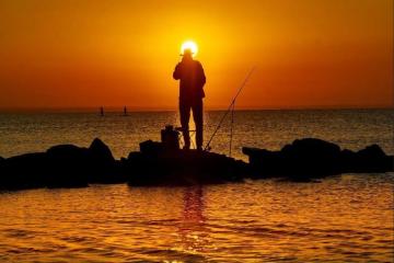 Фото №2: Земельный участок 4.26 сот. - СТ Меганом, ул. Рассветная