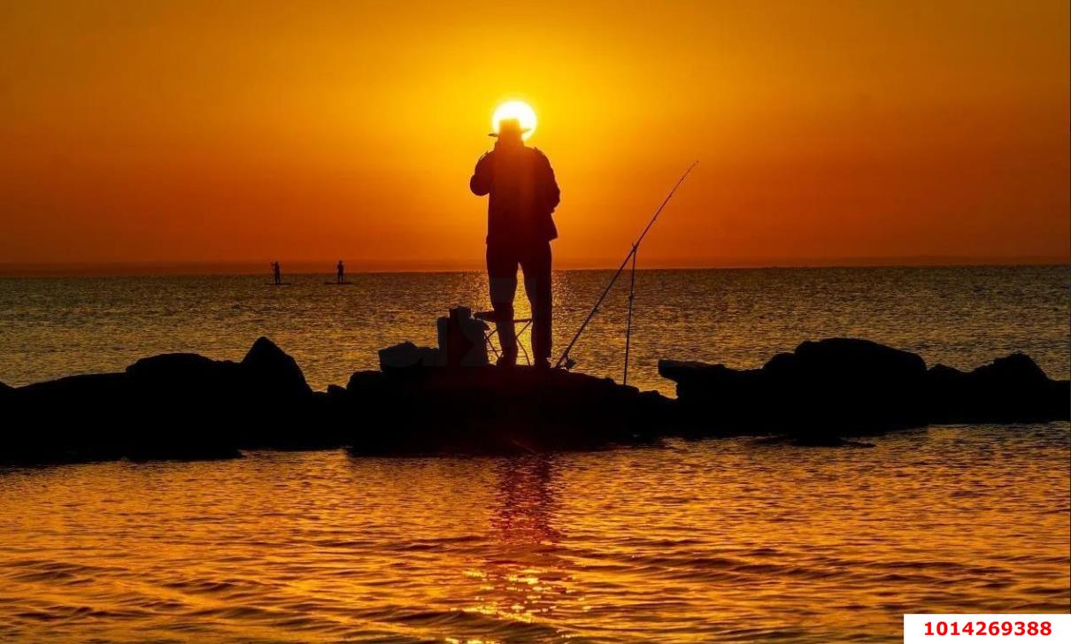 Фото №2: Земельный участок 4.26 сот. - СТ Меганом, ул. Рассветная