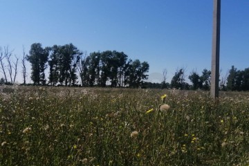 Фото №2: Земельный участок под ИЖС 8 сот. - Краснодар, мкр. жилой комплекс Испания, ул. Мадридская, 7