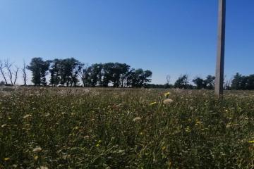 Фото №2: Земельный участок 8 сот. - Краснодар, мкр. жилой комплекс Испания, ул. Мадридская, 7