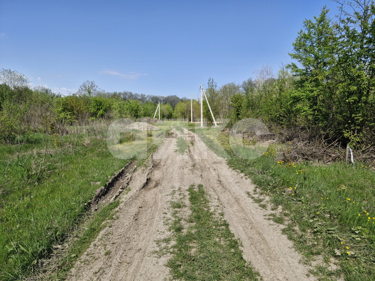 Фото №5: Личное подсобное хозяйство 6 сот. - Надежда, 