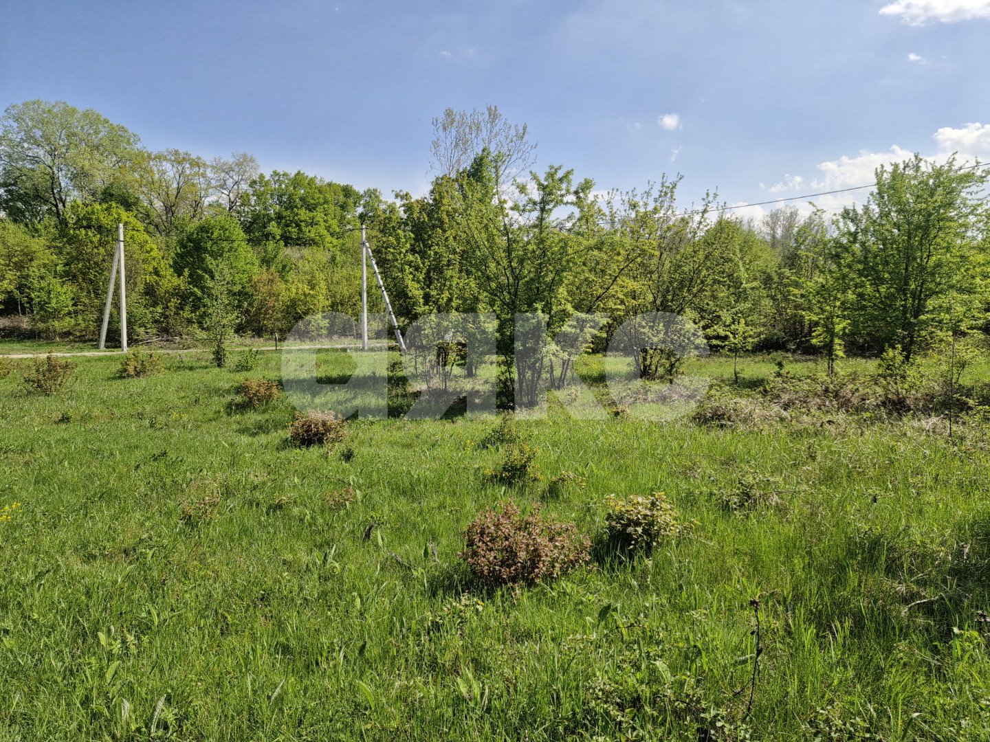 Фото №6: Личное подсобное хозяйство 10 сот. - Надежда, 