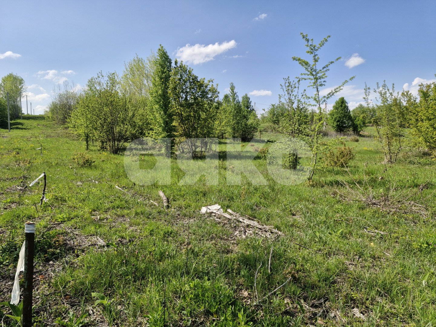 Фото №3: Личное подсобное хозяйство 10 сот. - Надежда, 