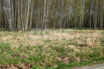Фото №1: Земельный участок под ИЖС - Нестерово, 