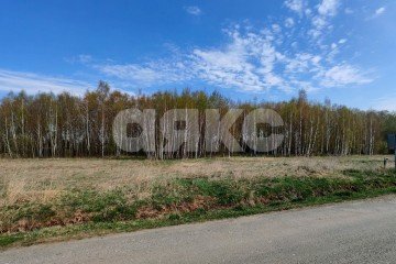 Фото №3: Земельный участок под ИЖС - Нестерово, 