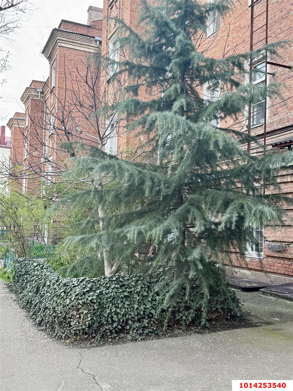 Фото №9: 3-комнатная квартира 66 м² - Краснодар, Центральный внутригородской округ, мкр. Завод Измерительных Приборов, ул. Ростовское шоссе, 10