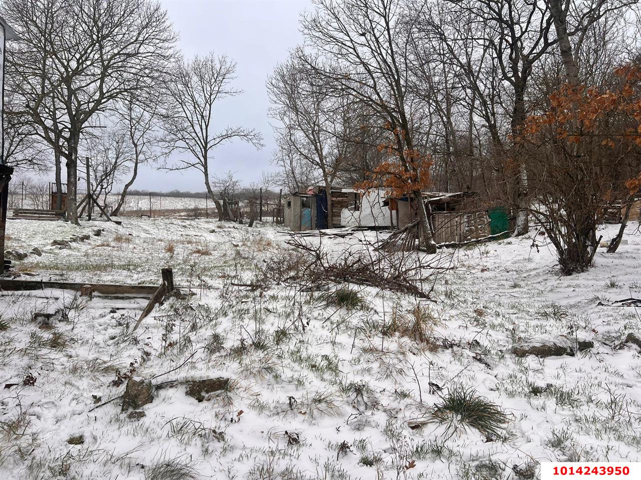 Фото №3: Личное подсобное хозяйство - Новороссийск, Приморский, мкр. территория Цемдолина, ул. Золотая Рыбка, 14