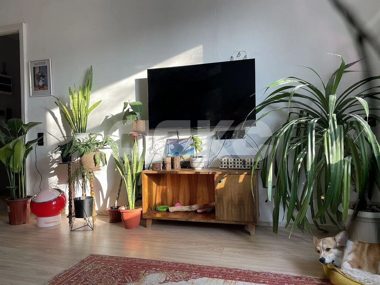 Фото №5: 2-комнатная квартира 56 м² - Ростов-на-Дону, Сельмаш, ул. Сержантова, 6