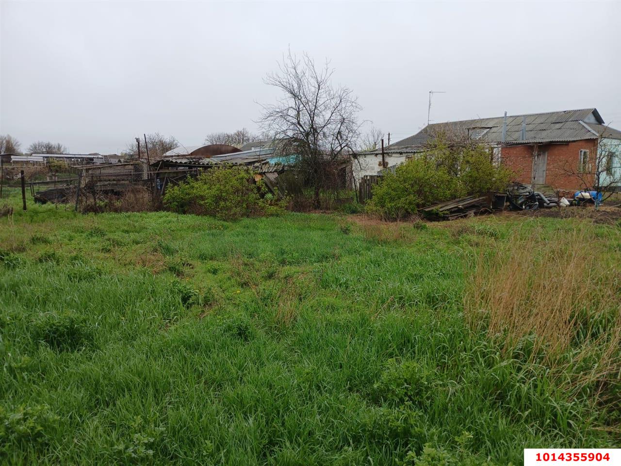 Фото №8: Дом 40 м² + 5.63 сот. - Черноерковская, ул. Зелёная, 1