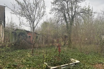 Фото №5: Участок садоводство 4.54 сот. - Елизаветинская, ст Экспресс, ул. Виноградная, 3