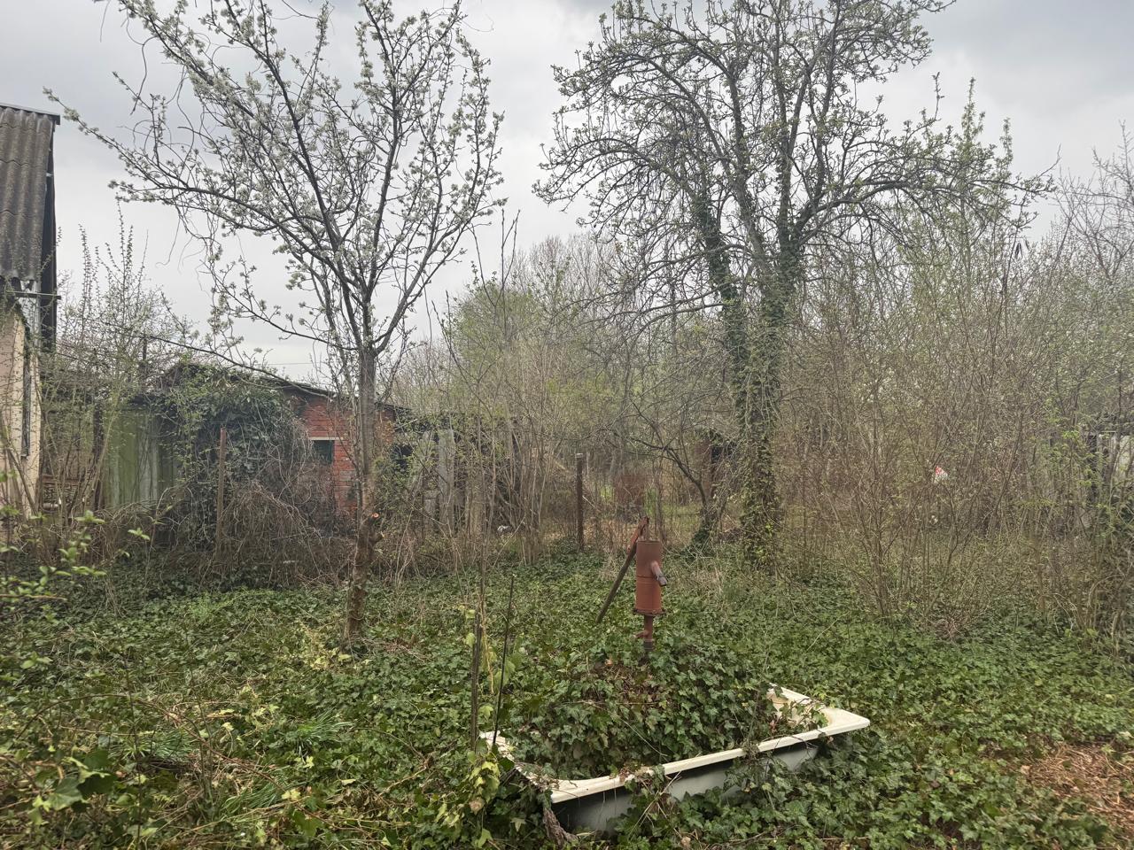 Фото №5: Земельный участок 4.54 сот. - Елизаветинская, Прикубанский внутригородской округ, ст Экспресс, ул. Виноградная, 3