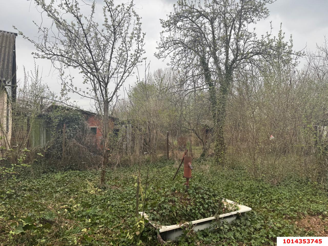 Фото №5: Участок садоводство 4.54 сот. - Елизаветинская, Экспресс, ул. Виноградная, 3