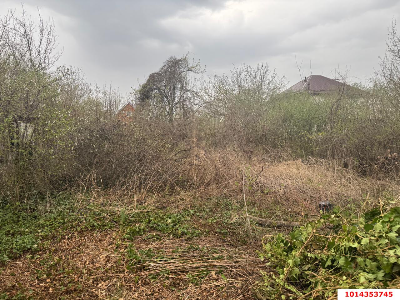 Фото №6: Участок садоводство 4.54 сот. - Елизаветинская, Экспресс, ул. Виноградная, 3