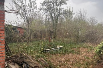 Фото №2: Участок садоводство 4.54 сот. - Елизаветинская, ст Экспресс, ул. Виноградная, 3