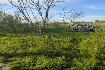 Фото №2: Земельный участок 10.14 сот. - Энем, мкр. СДТ Приозёрное, ул. Вишнёвая, 27