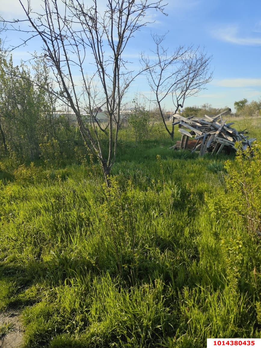 Фото №2: Личное подсобное хозяйство - Энем, мкр. СДТ Приозёрное, ул. Вишнёвая, 27
