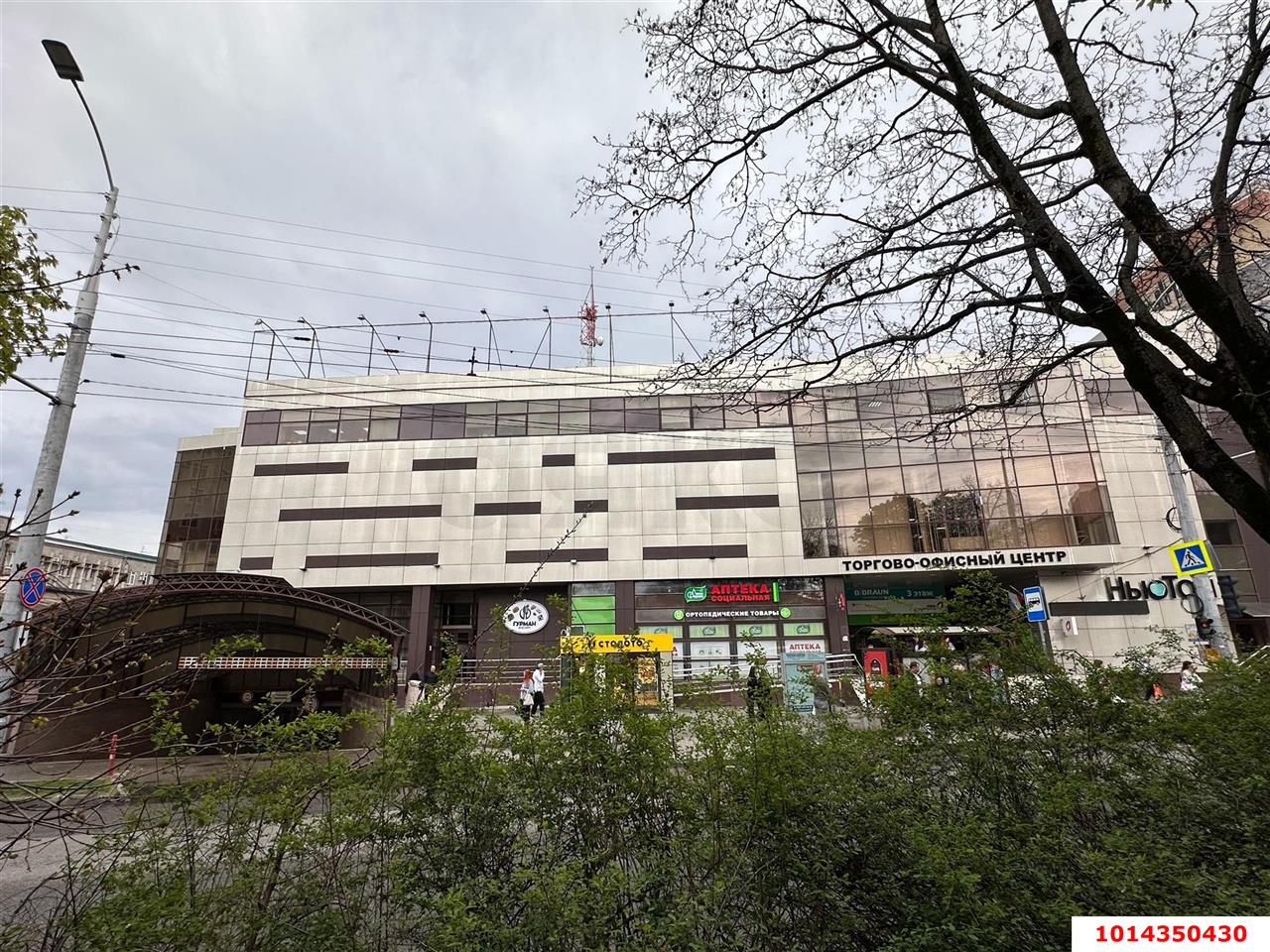 Фото №7: Офисное помещение 298 м² - Краснодар, Центральный, ул. Главная городская площадь