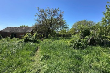 Фото №4: Личное подсобное хозяйство 10 сот. - Старомышастовская, ул. Чапаева, 59