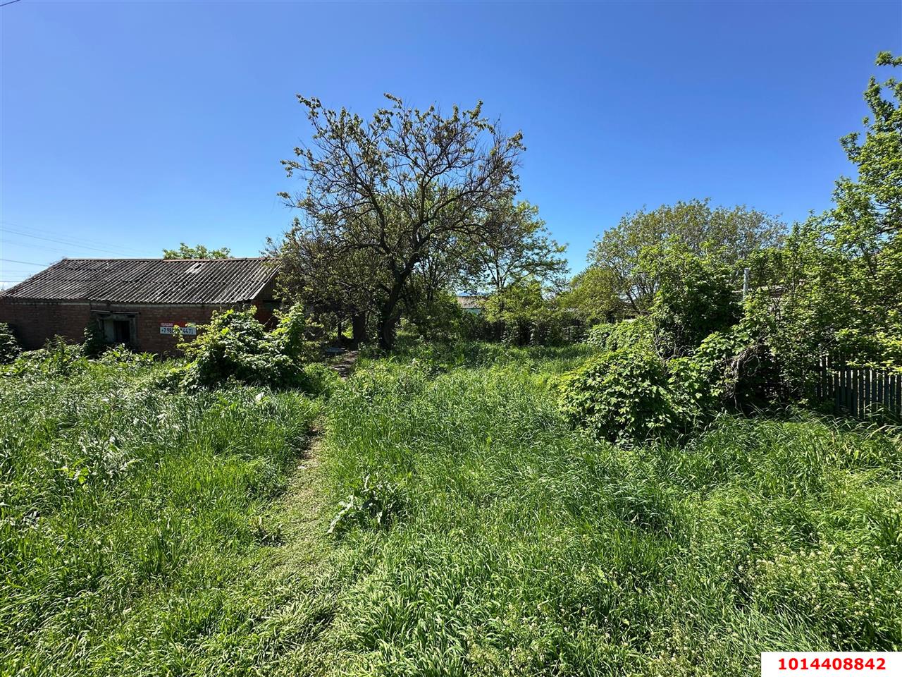 Фото №4: Личное подсобное хозяйство 10 сот. - Старомышастовская, ул. Чапаева, 59