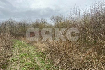Фото №2: Личное подсобное хозяйство - Саратовская, ул. Табачная, 3Б