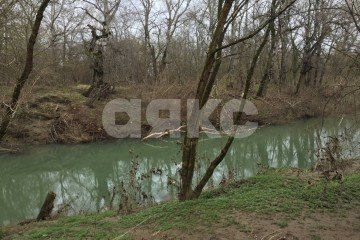 Фото №4: Личное подсобное хозяйство - Саратовская, ул. Табачная, 3Б