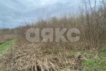 Фото №3: Личное подсобное хозяйство - Саратовская, ул. Табачная, 3Б