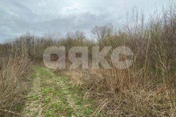 Фото №5: Личное подсобное хозяйство - Саратовская, ул. Табачная, 3Б