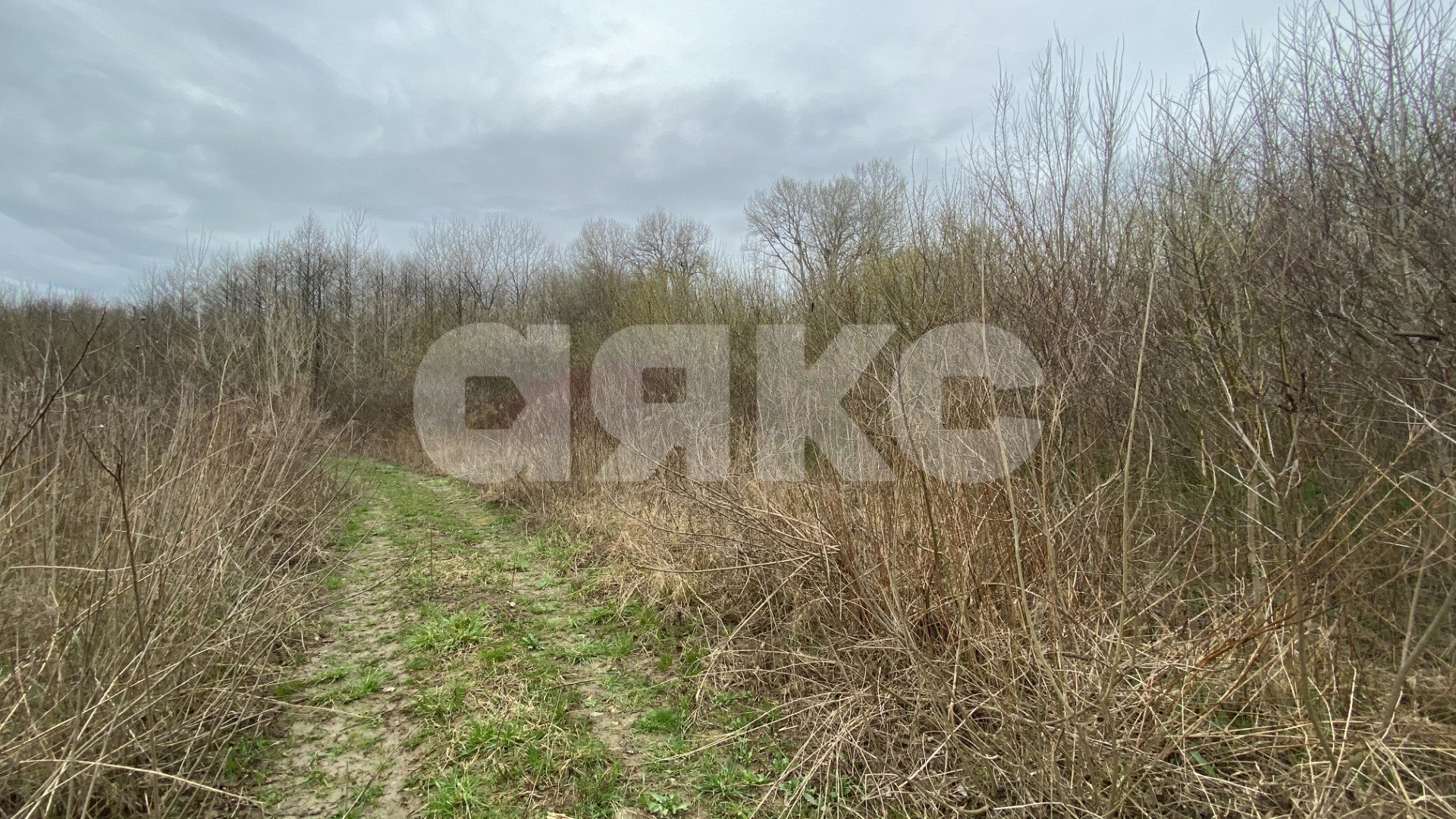 Фото №5: Личное подсобное хозяйство 8.3 сот. - Саратовская, ул. Табачная, 3Б