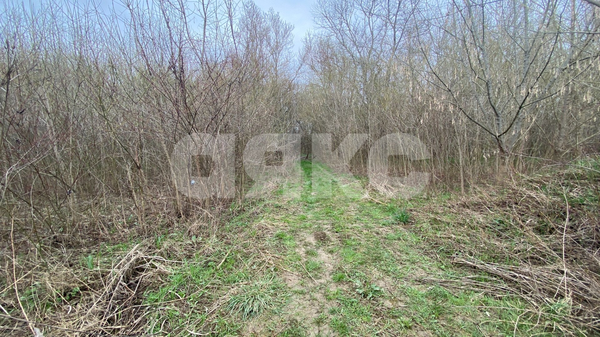 Фото №7: Личное подсобное хозяйство 8.3 сот. - Саратовская, ул. Табачная, 3Б
