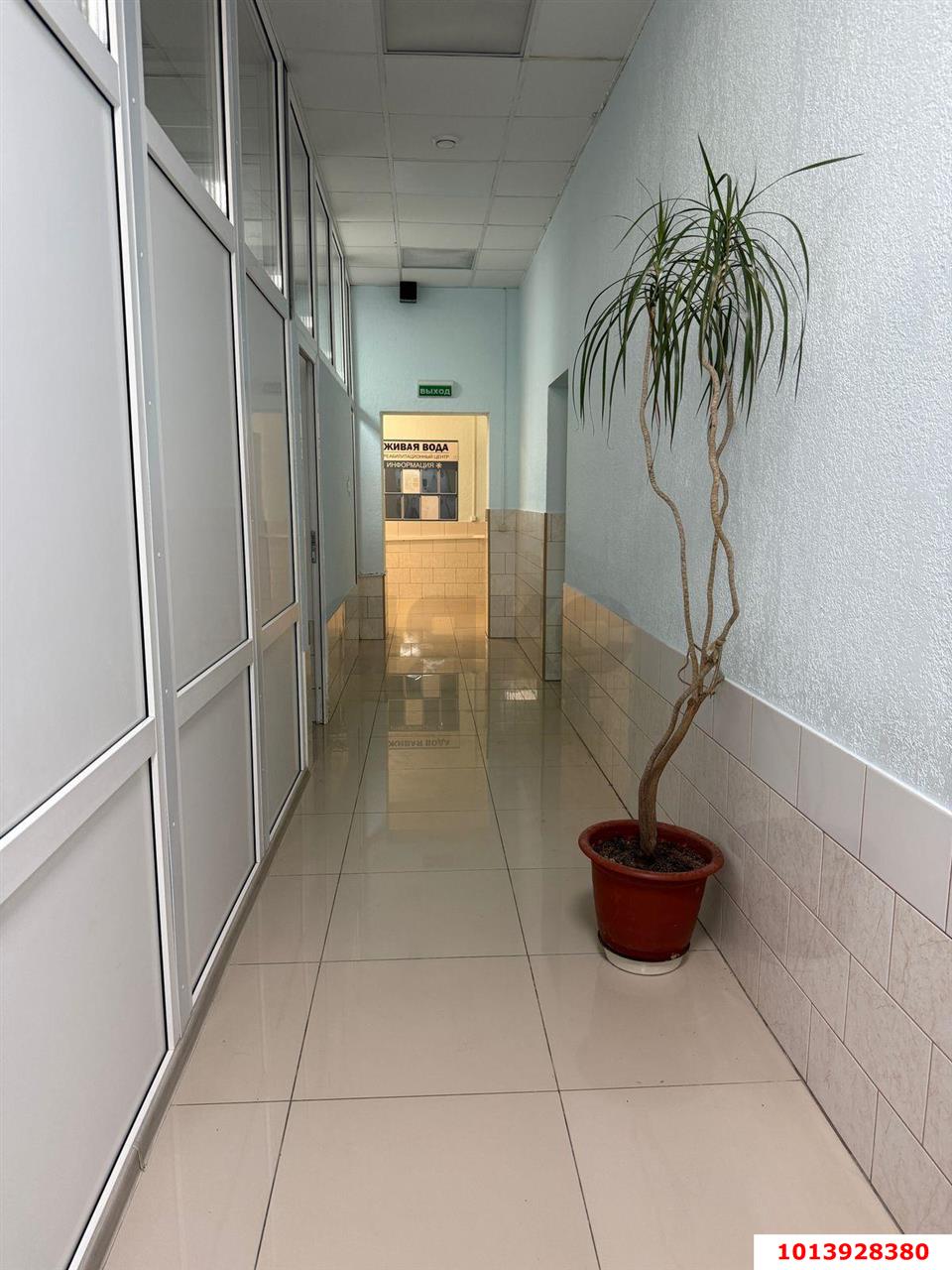 Фото №6: Офисное помещение 352 м² - Краснодар, Центральный, ул. Костылева, 195