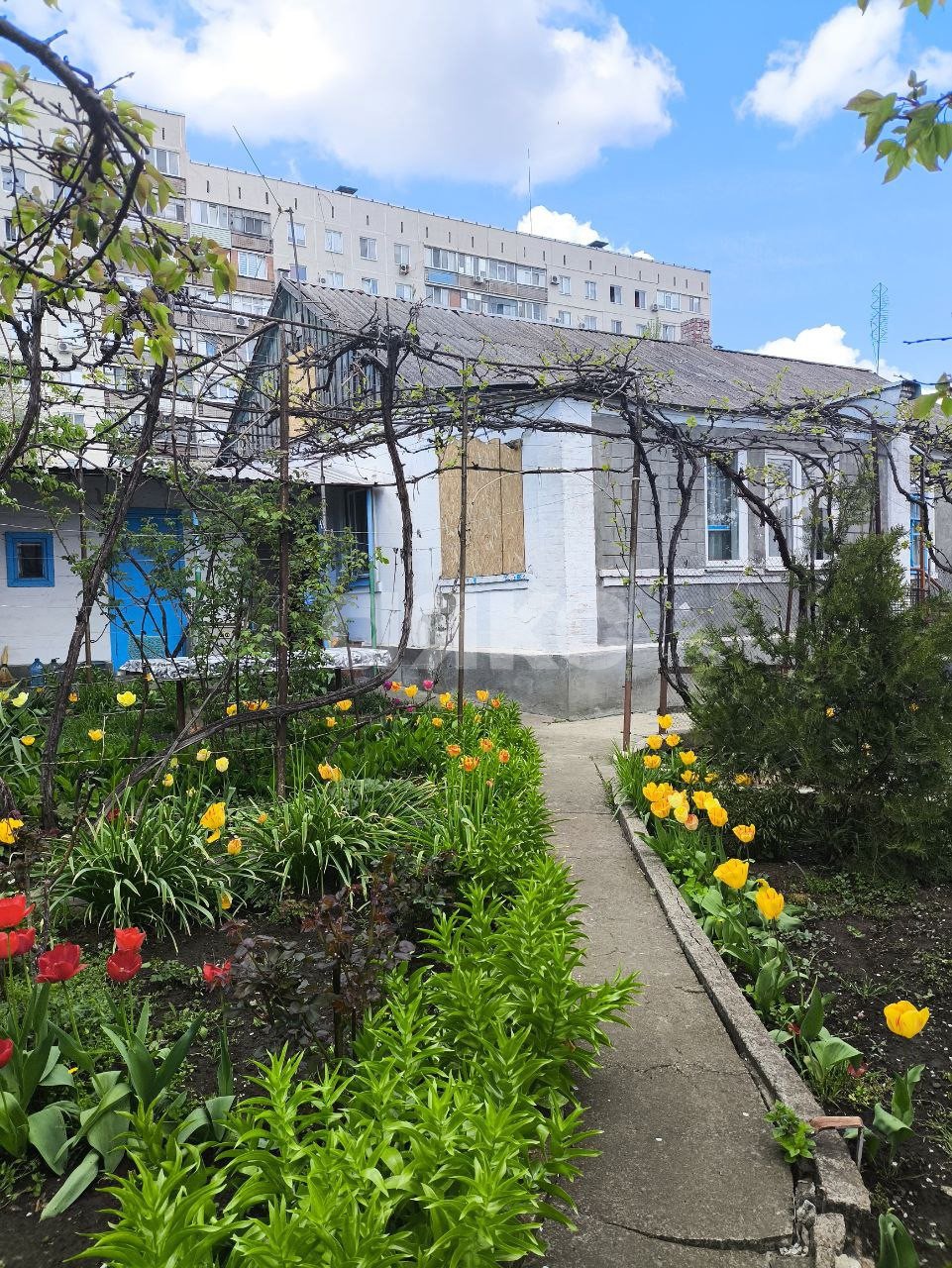 Фото №7: Дом 80 м² + 8 сот. - Мариуполь, Центральный, ул. Пугачёва, 36