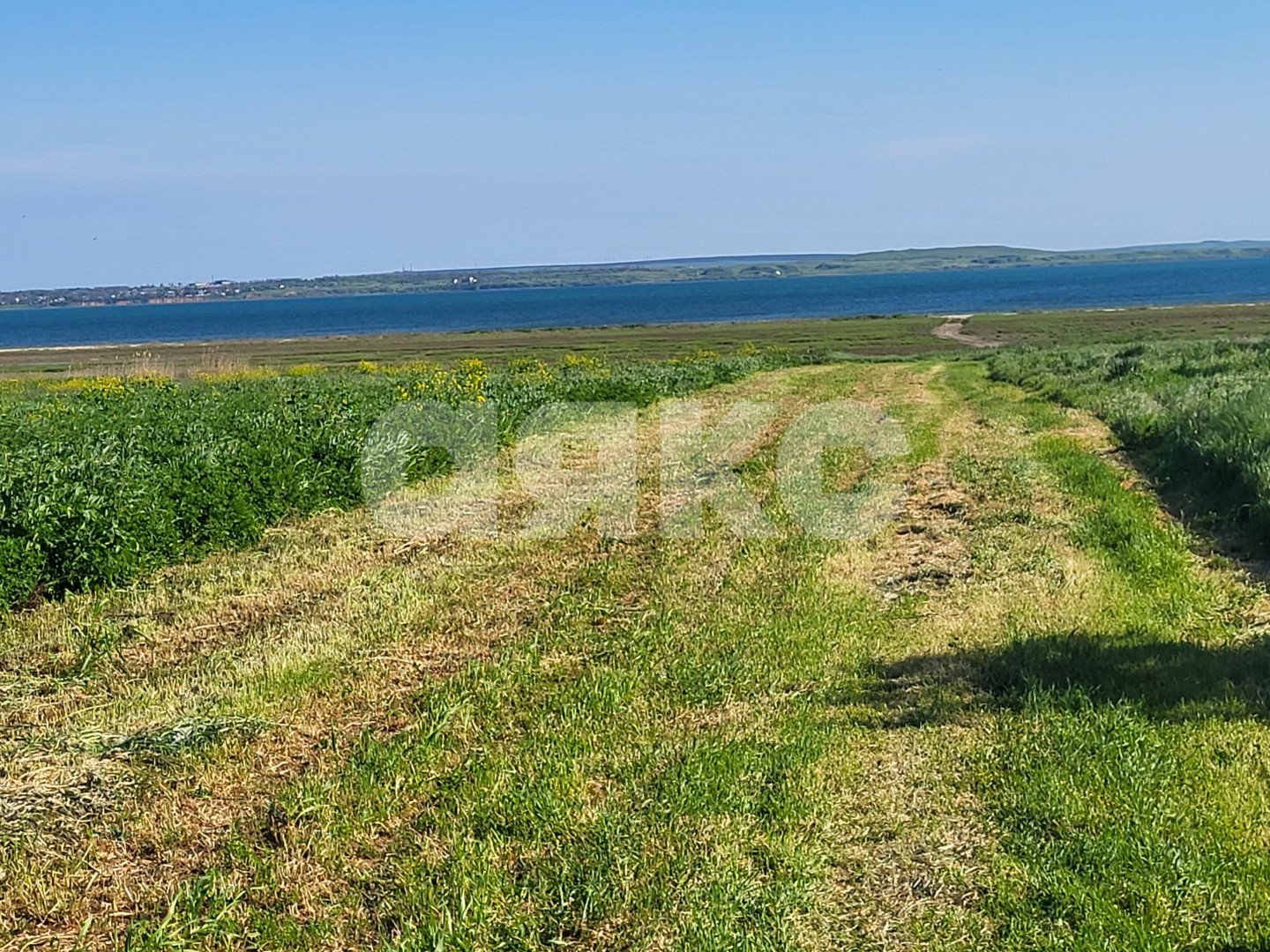 Фото №6: Личное подсобное хозяйство 15 сот. - Волна Революции, ул. Набережная