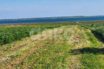 Фото №4: Личное подсобное хозяйство - Волна Революции, ул. Набережная