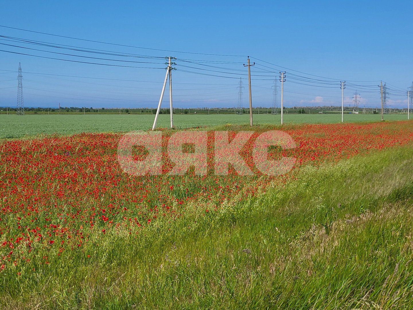 Фото №3: Личное подсобное хозяйство 15 сот. - Волна Революции, ул. Набережная