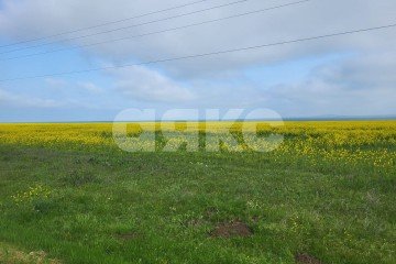 Фото №2: Личное подсобное хозяйство - Волна Революции, ул. Набережная