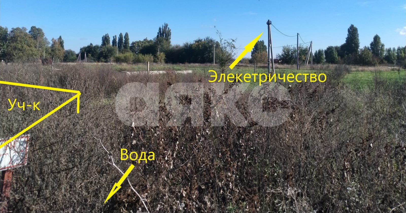 Фото №2: Личное подсобное хозяйство 14.5 сот. - Стрелка, ул. Азовская, 27