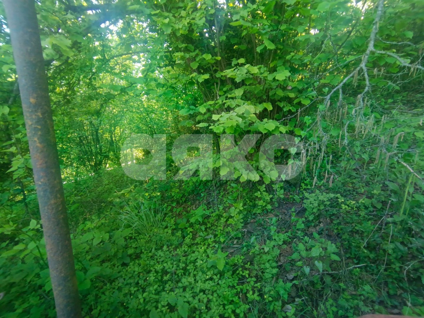 Фото №7: Дом 77 м² + 6.97 сот. - Калиновое Озеро, Адлерский, ул. Котельная, 1