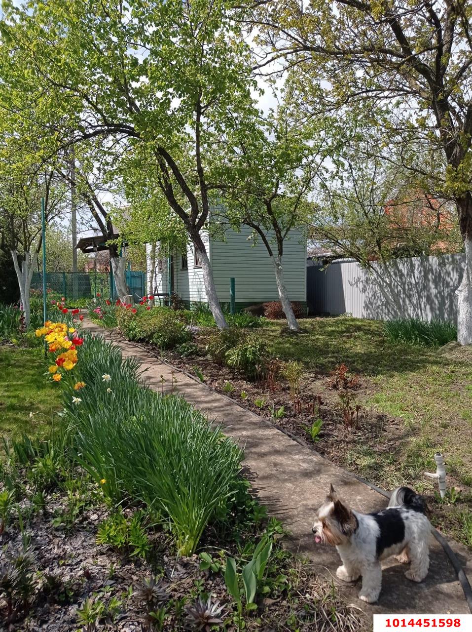 Фото №14: Дом 95 м² + 10 сот. - Мечта, Карасунский внутригородской округ, ул. Малиновая, 200