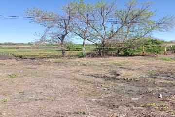 Фото №2: Коммерция 77 м² - Безлесный, ул. Гагарина, 228