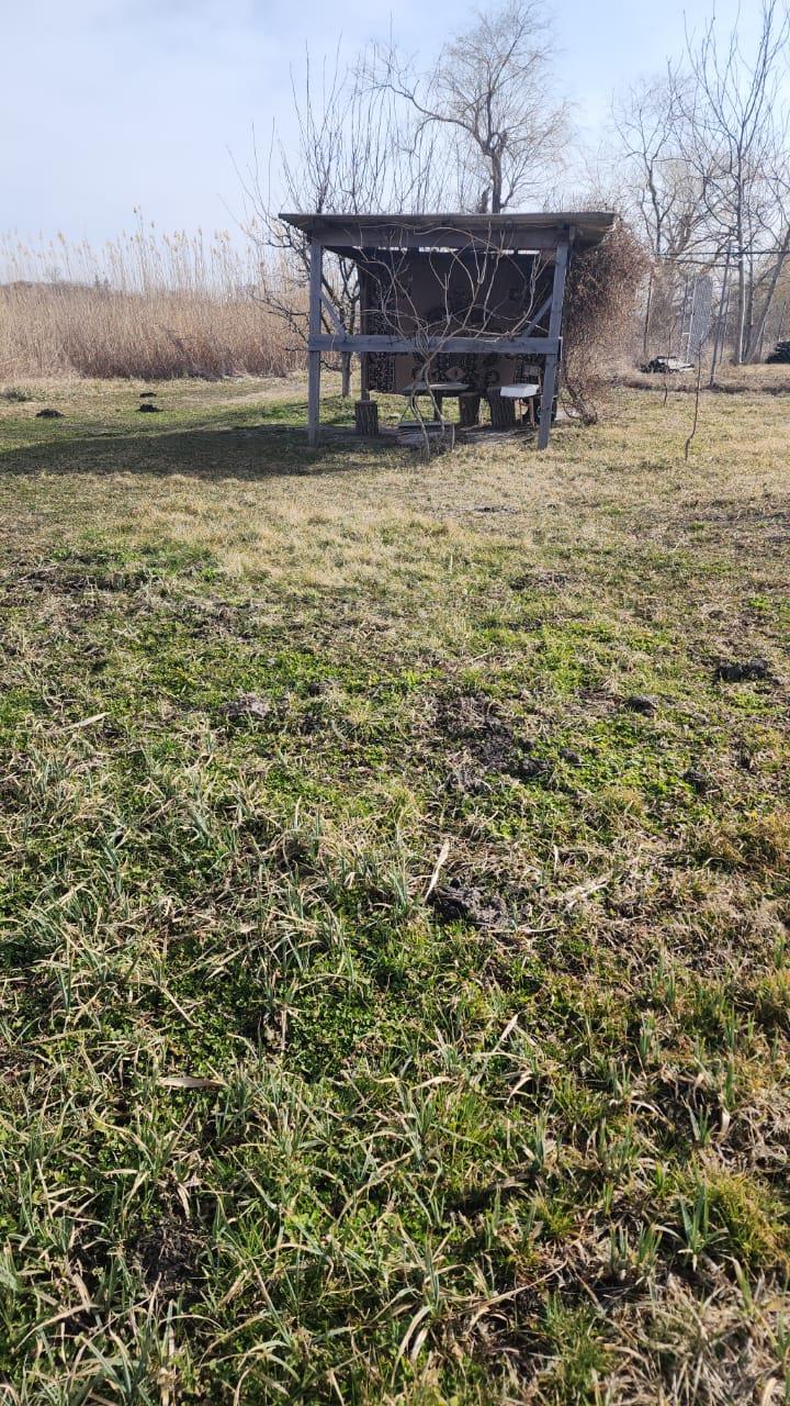 Фото №4: Коммерция 77 м² - Безлесный, ул. Гагарина, 228