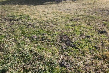 Фото №4: Личное подсобное хозяйство 77 сот. - Безлесный, ул. Гагарина, 228